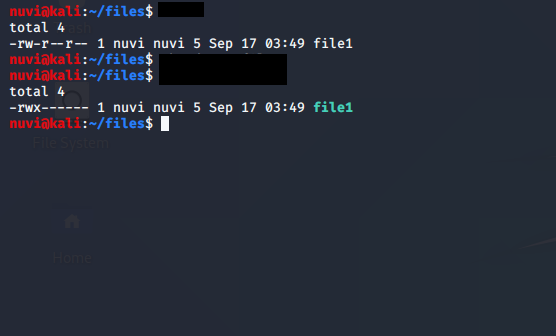 chmod command